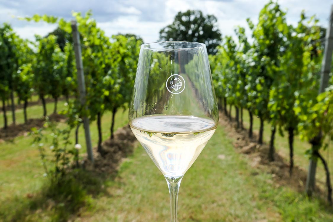 Wine and vineyard at Gusbourne Wine Estate, Kent